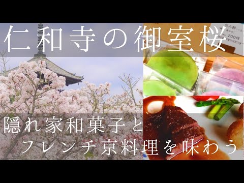 【仁和寺の御室桜】8冠王"藤井聡太"も絶賛！和菓子店「いと達」と京都観光の名所を御案内