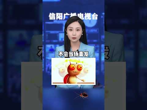 不想家里爬满蟑螂，一定要做好这件事！ #科普  #涨知识  #灭蟑螂