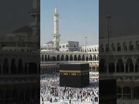 Shihab chottur : Kerala to Makkah by Walk | #shihabchottur #youtubeshorts #shots