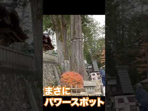 平日の三峯神社が凄かった件✨#shorts #shrine #紅葉 #三峯神社