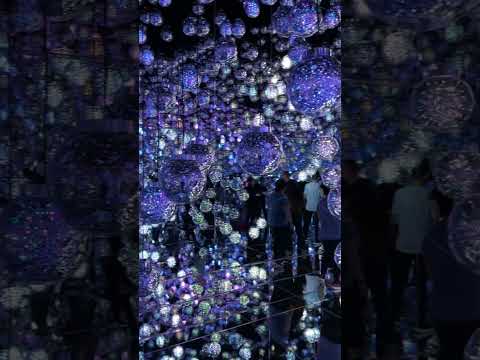 チームラボボーダレス / teamLab Borderless (Shorts 3) -- 麻布台ヒルズ / Azabudai Hills (2024/2/15)