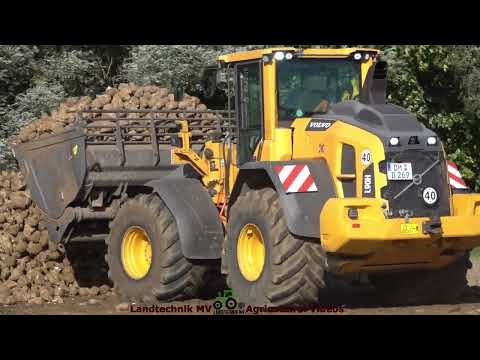 Volvo - Holmer - John Deere / Rübenverladung - Loading Beets   TB