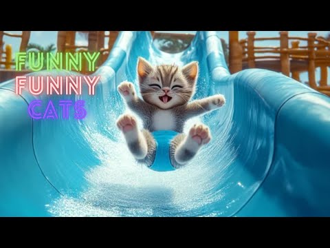 Funniest Cat Videos in The World😂 Funny Cat Videos 😹 Funny Cat Videos Try Not To  Laugh 😺😹 Part 128