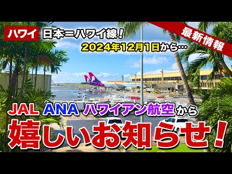 【ハワイ】2024年12月から！JAL、ANA、ハワイアン航空の日本ハワイ線燃油サーチャージが発表！そしてただいま！【ハワイ最新情報】【ハワイの今】