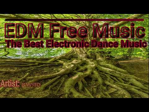 EDM Free Music - SWЯD - R!OT [Copyright Free]