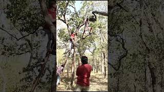 Arya's Action Journey: The Making of Kadamban's Adventure Sequence #supergoodfilms #ytshorts #shorts