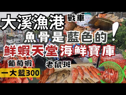 宜蘭大溪漁港丨蝦子天堂丨逛完想找時間再回訪丨戰車1kg 3000丨超大白玉貝1顆100元丨青雞魚2尾450丨白帶4大條1000丨葡萄蝦1籃300丨藍骨頭魚丨罕有深海銀鮫丨超美味鮟康1尾100丨