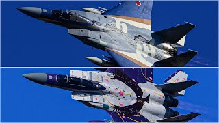 2024.12.7 百里基地航空祭前日予行 306飛行隊によるF15機動飛行