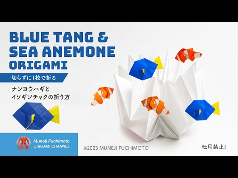 「折り紙」ナンヨウハギ＆イソギンチャク（blue tang & sea anemone）の折り方