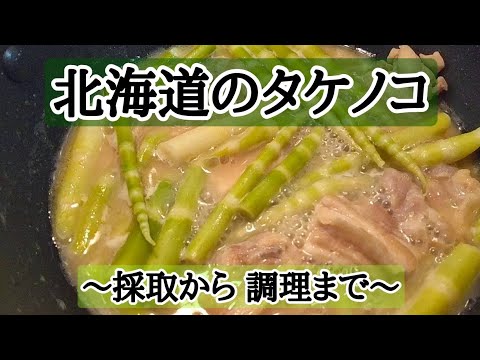 【タケノコ採り】本当におすすめ！！絶品！タケノコの味噌煮