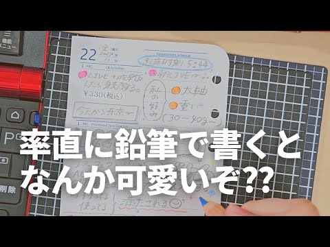 鉛筆✏でシステム手帳リフィルを書く!!