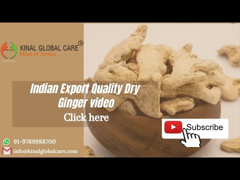 Indian Dry Ginger