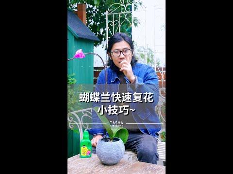 蝴蝶兰像我这样轻轻一剪，复花很容易~