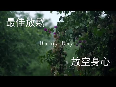 《雨天白噪音🎧 學習工作最佳背景音》