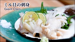 ミル貝の捌き方！簡単に刺身を作って綺麗に盛り付ける方法