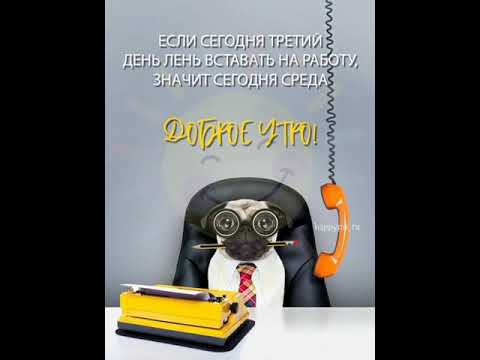 🐰 Если третий день лень вставать на работу- значит сегодня среда! С добрым утром!