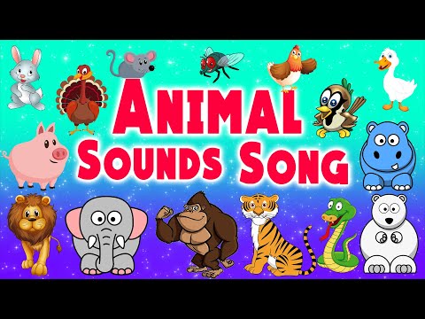 Animal Sounds Song | Animal Sounds for Babies | LittleKidsTV