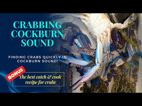 Crabbing Cockburn Sound | The Blue Swimmer + Catch & Cook