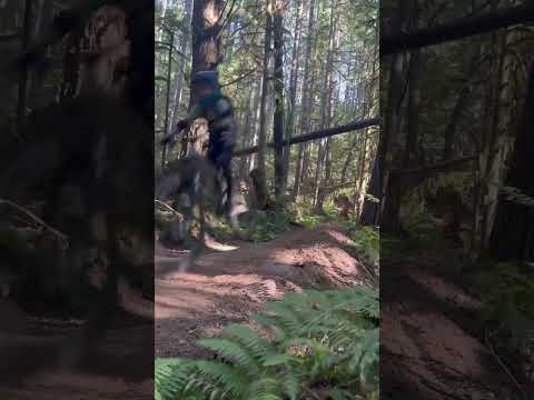 Sketchy gaps in Squamish