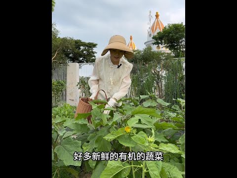 Where is there anyone who is not as good as his home? The organic vegetables all over the yard are