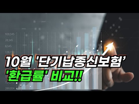 10월 최신판, ‘단기납종신보험’ 환급률 비교