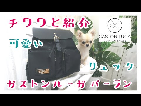 チワワと紹介💕ガストンルーガ 🇸🇪パーラン ✨可愛いリュック🎒北欧🌲💕 Gaston Luga 🇸🇪 Parlan ✨ cute backpack 🎒 scandinavian 🌲Chihuahu🐶