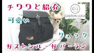 チワワと紹介💕ガストンルーガ 🇸🇪パーラン ✨可愛いリュック🎒北欧🌲💕 Gaston Luga 🇸🇪 Parlan ✨ cute backpack 🎒 scandinavian 🌲Chihuahu🐶