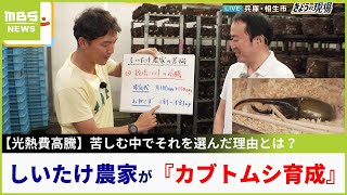 月100万円だった電気代が150万円に…で「しいたけ農家」が挑む『カブトムシ』『クワガタ』なぜ？その理由は？【現場から生中継】（2023年7月11日）