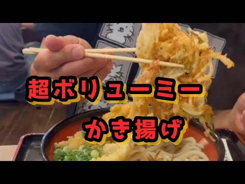 ko-jぶいろぐ【讃岐麺　うをきち】さん