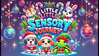 Little Sensory Journeys - Fruit Dance Party  Counting animation with music Bear Sensory