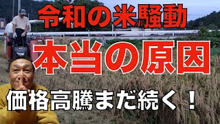 令和の米騒動【米不足の本当の原因】まだまだ価格高騰は続くのか？