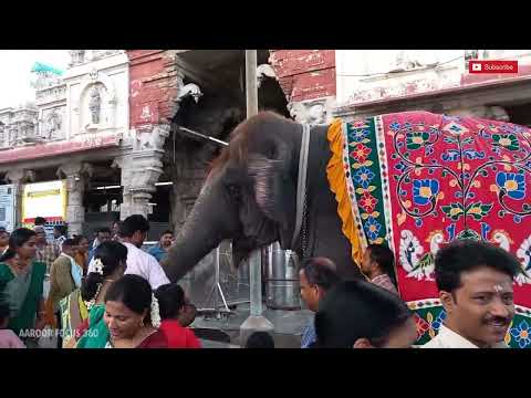 திருச்செந்தூர் கோவிலின் சுற்றுவட்டார  காட்சிகள்  #arogara  #thanjai #thiruchendur  #murugantemple