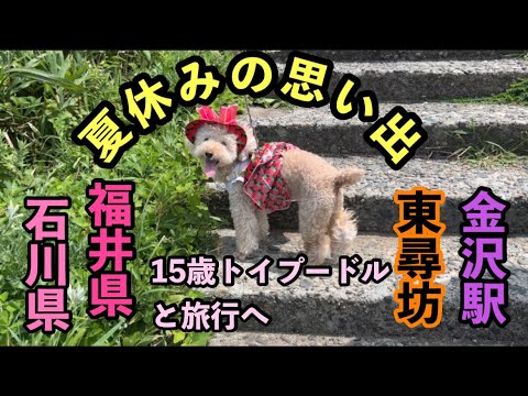 犬と旅行福井　石川県　楽しい思い出ができました💕💕