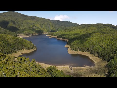 與老同學同遊太平山(二 ) -翠峰湖環山步道(Sep. 2023)