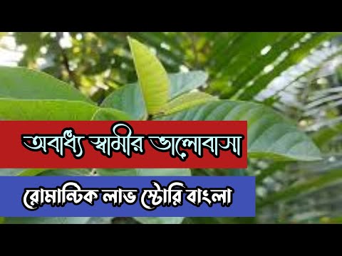 অবাত্য স্বামীর ভালোবাসা || রোমান্টিক লাভ স্টোরি বাংলা || Anika dairy