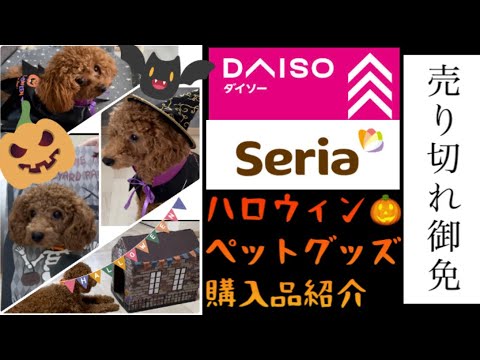 急いで！ハロウィングッズ🎃ペット用紹介【ダイソー】【セリア】