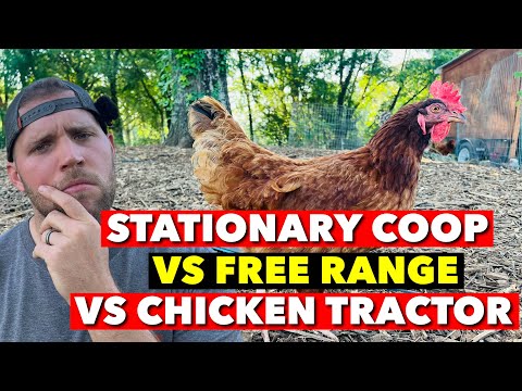 I’VE TRIED ALL STYLES OF CHICKEN COOPS! WHAT’S BEST?!