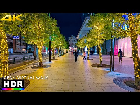 Tokyo suburbs - Kameido Christmas Lights Evening Walk • 4K HDR