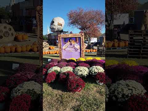 What a cutie!! #fallseason #fallfestival #holloween #shorts #shortsfeed #shortsvideo