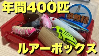 【ナマズ釣り】ルアーボックス大公開！年間400匹釣るボックスの中身とは⁉︎