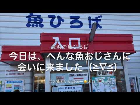 [小学生]  へんな魚おじさんに会いに行って来ましたー‼︎