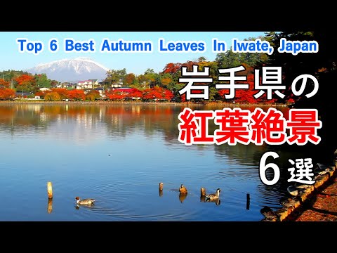 Top 6 best Autumn Leaves in Iwate, Japan / Hachimantai, Basenkyo Gorge, Kuji Stream, Takamatsu Pond