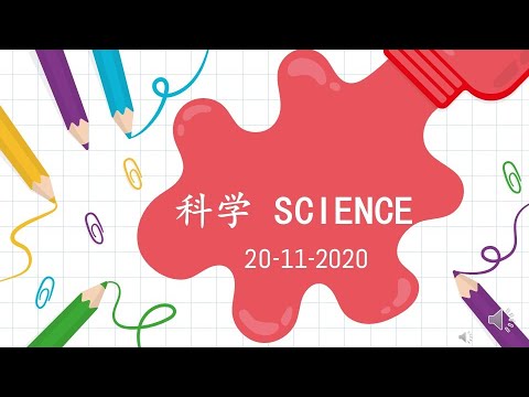 学前教育班科学（有益的食物和无益的食物）Healthy food and unhealthy food