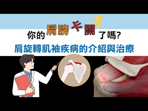 【衛教】你的肩膀卡關了嗎? 肩旋轉肌袖疾病的介紹與治療 (台語)