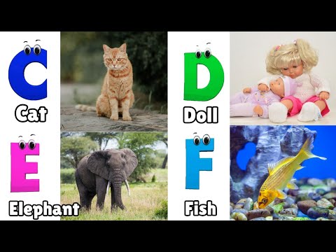 ABC Song for Toddlers | Phonics for Kids | Learn ABC for Kids | English Alphabet Letters