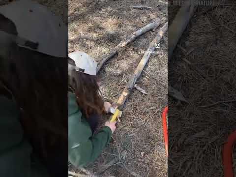 Wild Mountain DIY: Turning Trees Into A Ladder