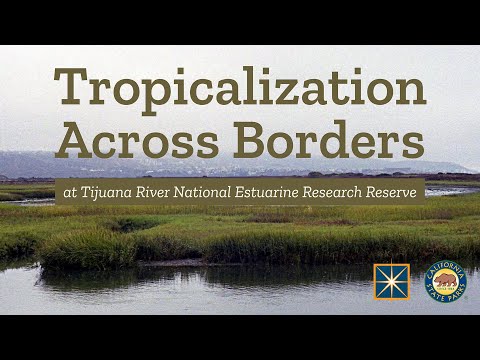 Tijuana River Estuary: Tropicalization Across Borders