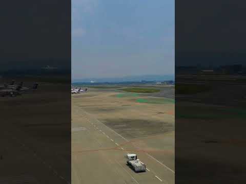 【癒し動画】福岡航空国内線　#松山千春　#shorts