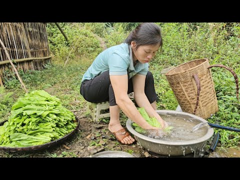 How will Ms. Tien tell the engineer when she finds out she is pregnant?