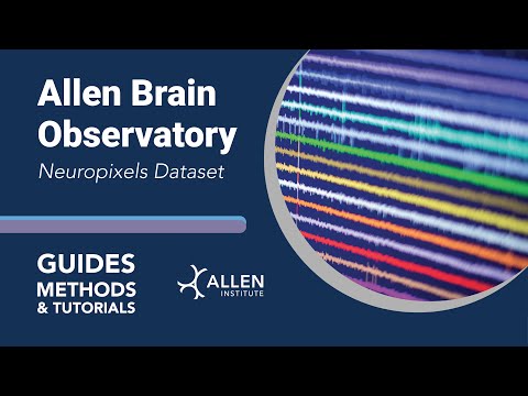 Allen Brain Observatory: Neuropixels Dataset | Tutorial